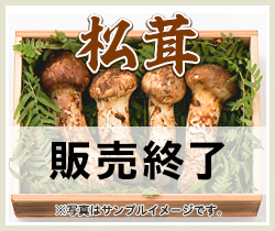 宮澤さんちの松茸 長野県松本市四賀    長野県産松茸の通販・お