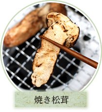 焼き国産松茸